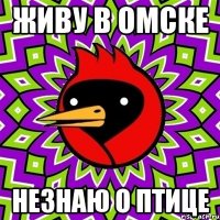 живу в Омске НЕзнаю о птице