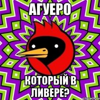 Агуеро Который в ливере?
