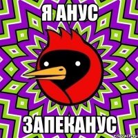 я анус запеканус