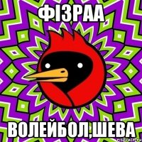 Фізраа Волейбол,шева