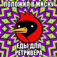 положил в миску еды для ретривера