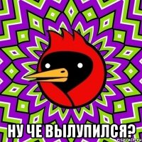  ну че вылупился?