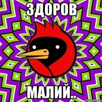 здоров малий..