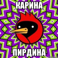 карина пирдина