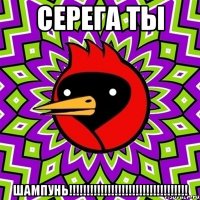 СЕРЕГА ТЫ ШАМПУНЬ!!!!!!!!!!!!!!!!!!!!!!!!!!!!!!!!!!