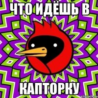 Что идёшь в Капторку