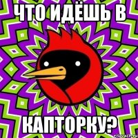Что идёшь в Капторку?