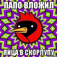 Папо вложил яйца в скорлупу