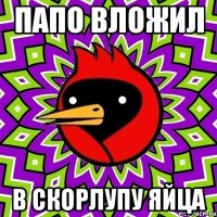 Папо вложил в скорлупу яйца