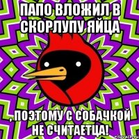 Папо вложил в скорлупу яйца , поэтому с собачкой не считаетца!