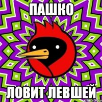 Пашко Ловит левшей