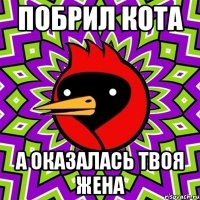 побрил кота а оказалась твоя жена