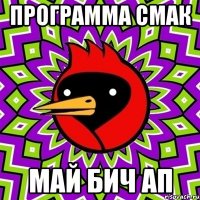 Программа Смак Май бич ап