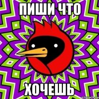 пиши что хочешь