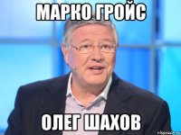 Марко гройс Олег шахов