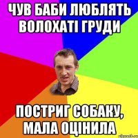 чув баби люблять волохаті груди постриг собаку, мала оцінила