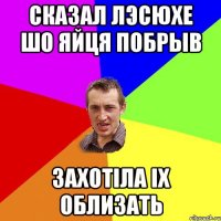 сказал лэсюхе шо яйця побрыв захотіла іх облизать