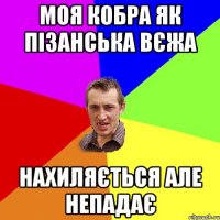 Моя кобра як пізанська вєжа Нахиляється але непадає