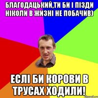 Благодацький,ти би і пізди ніколи в жизні не побачив) Еслі би корови в трусах ходили!