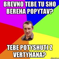 brevno tebe tu sho bereha popytav? tebe potyshutj z vertyhana?