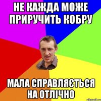 Не кажда може приручить кобру мала справляється на отлічно