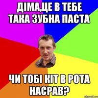 Діма,це в тебе така зубна паста чи тобі кіт в рота насрав?