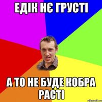 ЕДІК НЄ ГРУСТІ А ТО НЕ БУДЕ КОБРА РАСТІ