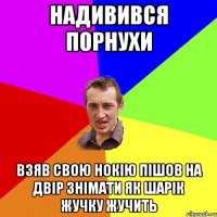 надивився порнухи взяв свою нокію пішов на двір знімати як шарік жучку жучить