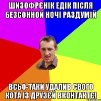 шизофрєнік едік після безсонной ночі раздумій всьо-таки удалив свого кота із друзєй вконтактє!