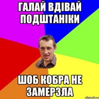 Галай вдівай подштаніки шоб кобра не замерзла