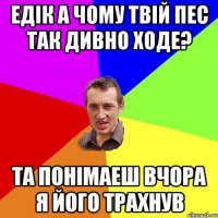 Едік а чому твій пес так дивно ходе? Та понімаеш вчора я його трахнув