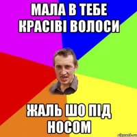 мала в тебе красіві волоси жаль шо під носом