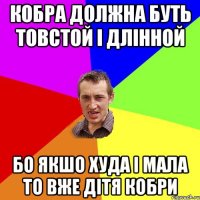 Кобра должна буть товстой і длінной бо якшо худа і мала то вже дітя кобри