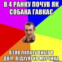 в 4 ранку почув як собака гавкає взяв лопату вибіг в двір, відхуярив мурчика