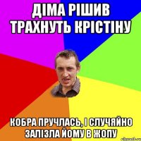 діма рішив трахнуть крістіну кобра пручлась, і случяйно залізла йому в жопу