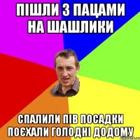 пішли з пацами на шашлики спалили пів посадки поєхали голодні додому