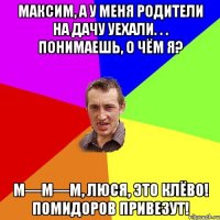 Максим, а у меня родители на дачу уехали. . . Понимаешь, о чём я? М—м—м, Люся, это клёво! Помидоров привезут!