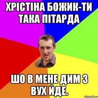 Хрістіна Божик-ти така пітарда шо в мене дим з вух йде.