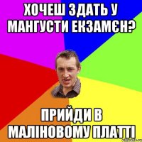 ХОЧЕШ ЗДАТЬ У МАНГУСТИ ЕКЗАМЄН? ПРИЙДИ В МАЛІНОВОМУ ПЛАТТІ