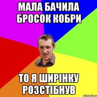 мала бачила бросок кобри то я ширінку розстібнув