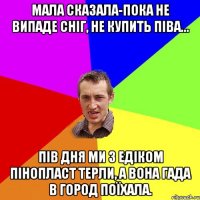 Мала сказала-пока не випаде сніг, не купить піва... пів дня ми з Едіком пінопласт терли, а вона гада в город поїхала.