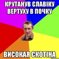 Крутанув Славіку вертуху в почку високая скотіна