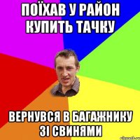 поїхав у район купить тачку вернувся в багажнику зі свинями