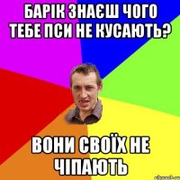 барік знаєш чого тебе пси не кусають? вони своїх не чіпають