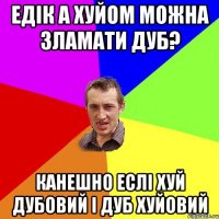 едік а хуйом можна зламати дуб? канешно еслі хуй дубовий і дуб хуйовий