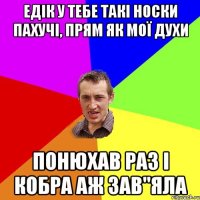 Едік у тебе такі носки пахучі, прям як мої духи Понюхав раз і кобра аж зав"яла