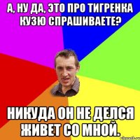 А, ну да, это про тигренка Кузю cпрашиваете? Никуда он не делся живет со мной.