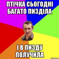 птічка сьогодні багато пизділа і в пизду получила