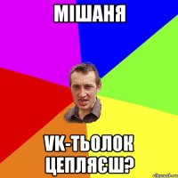 Мішаня VK-тьолок цепляєш?