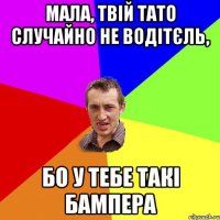 Мала, твій тато случайно не водітєль, бо у тебе такі бампера